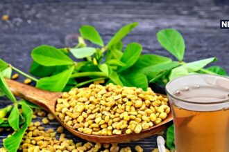 Are you drinking fenugreek water for weight loss? Then know these serious disadvantages, otherwise you will have to suffer the consequences