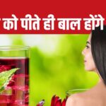 Drink this summer mocktail drink prepared from hibiscus leaves in summer, it turns white hair black, dietician tells the method