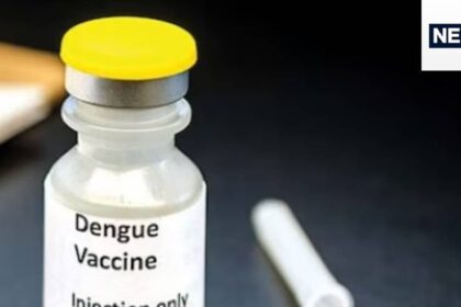 Now India will get dengue vaccine, ICMR is going to start phase-3 trial, when will it be completed? Know all the details