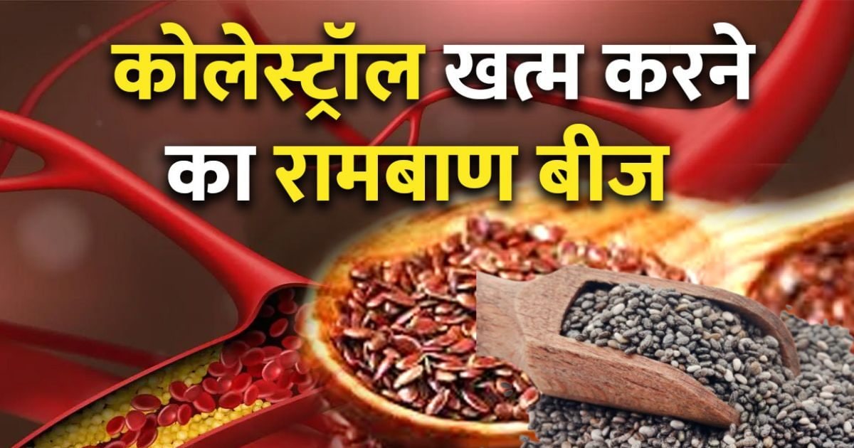 3 types of seeds can control high cholesterol, if you eat them early in the morning then obesity will also be affected, try it