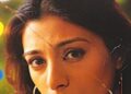 After 23 years, sequel of Tabu's 'Chandni Bar' will be made, 4 top actresses will be seen together, you won't have to wait to know the names