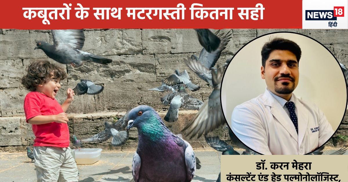 Does a flock of pigeons keep hovering in your balcony too? This can be a fatal disease, know what are its symptoms