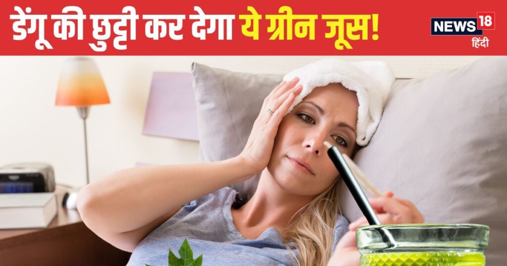 Drink the juice of this green leaf in dengue, platelets will increase rapidly..! Weakness will also go away, know 6 more big benefits