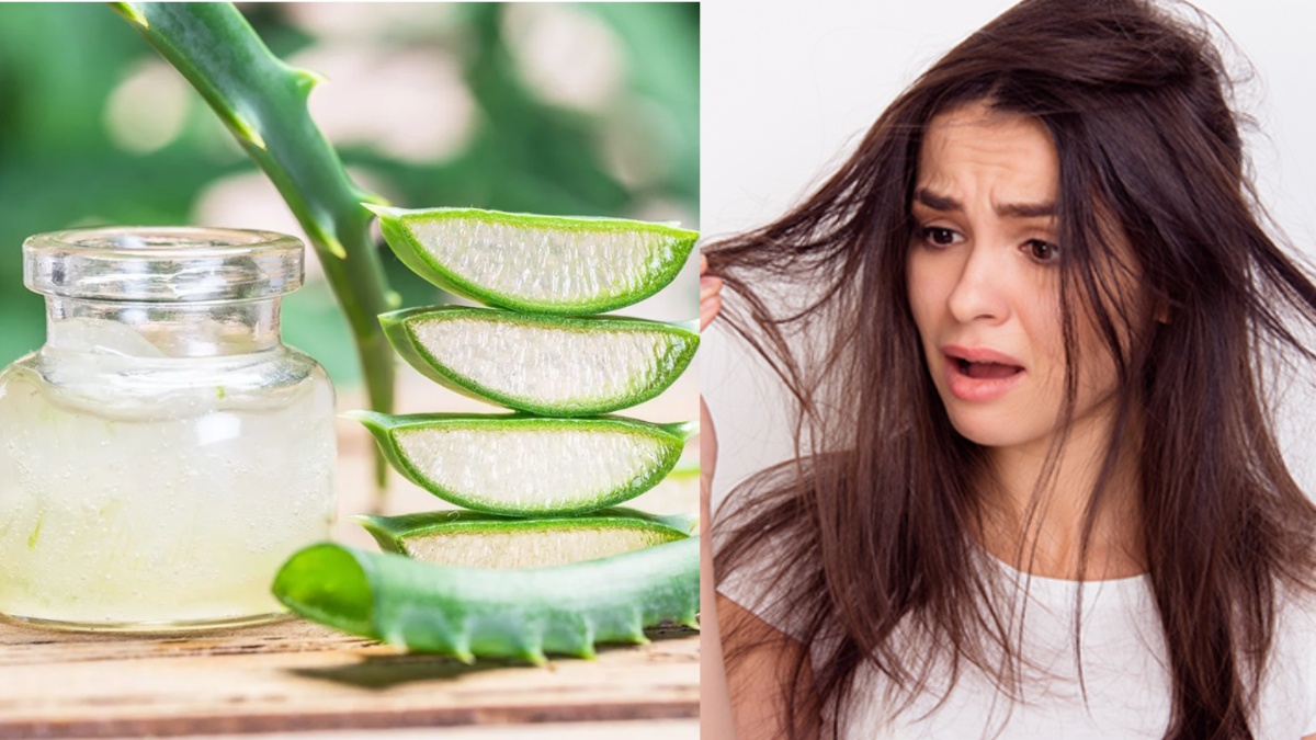 If your hair is falling like a broom, then try this aloe vera remedy, you will get strong roots and silky soft hair - India TV Hindi