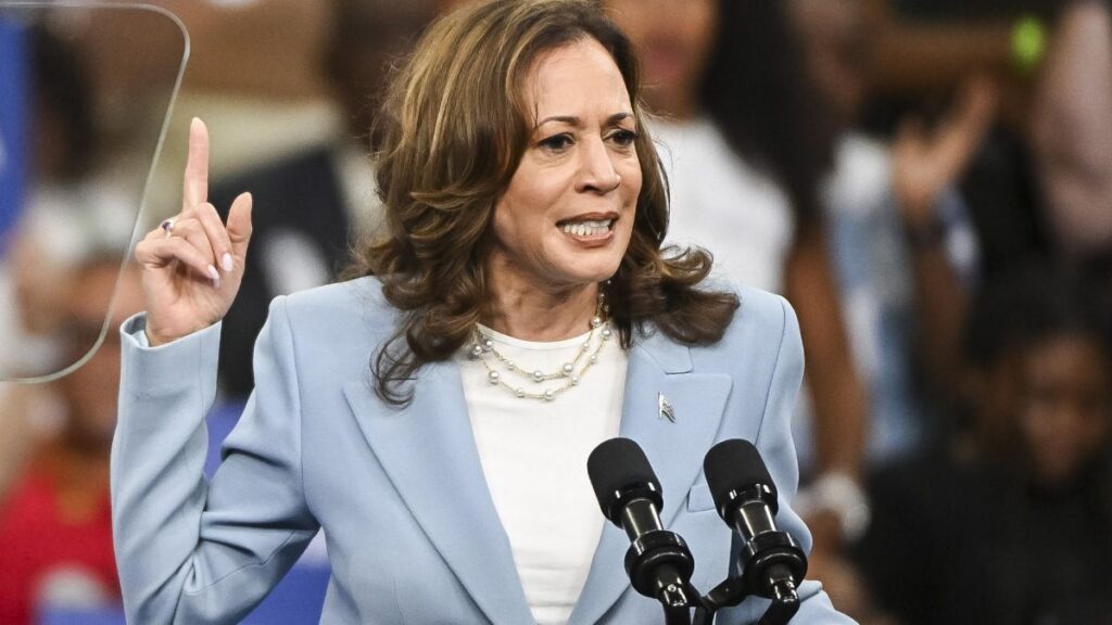 Kamala Harris' nomination for US presidential race confirmed, now she will contest against Donald Trump - India TV Hindi