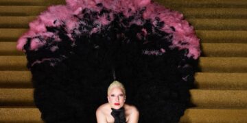 Lady Gaga made a splash at the opening of Paris Olympics 2024, why did she perform in feathered clothes on the banks of the Seine River?