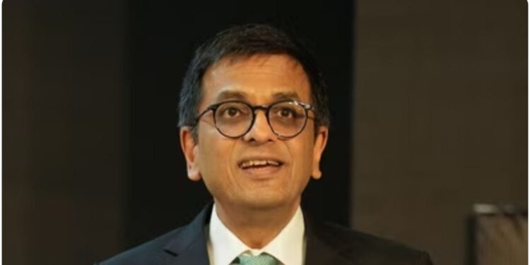 'Lower court judges do not want to take any risk', why did CJI Chandrachud say this?