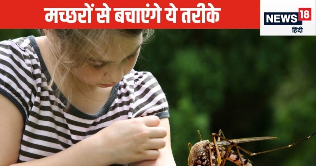 Mosquitoes will not bite you, if you adopt these 7 foolproof methods, you will also be protected from many diseases in the rain