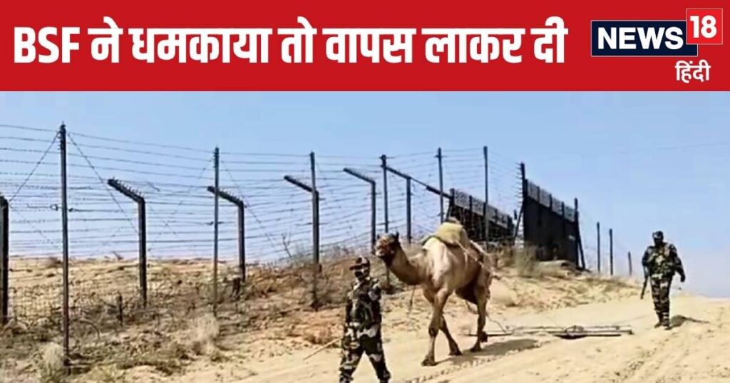 Pakistanis are so hungry that they cut the fencing from the border, know the whole matter