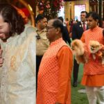 Pets also made a mark at Anant Ambani's Memaru function, seen dressed in lehenga-choli - India TV Hindi