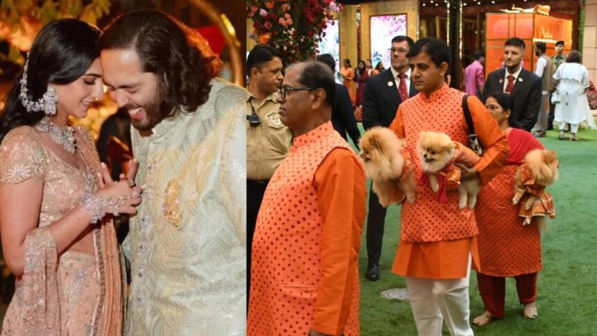 Pets also made a mark at Anant Ambani's Memaru function, seen dressed in lehenga-choli - India TV Hindi