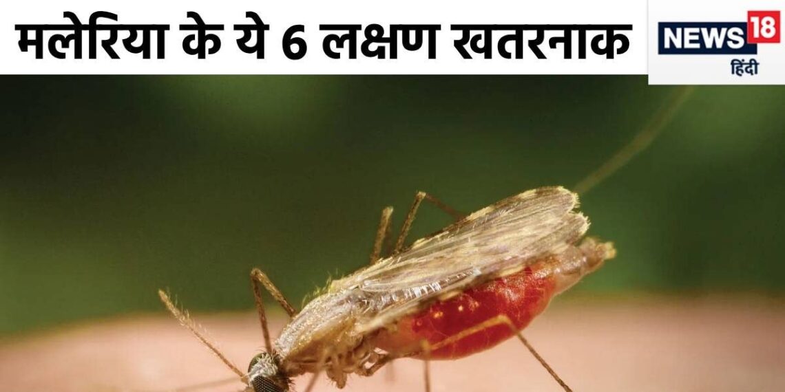 Severe malaria is creating panic, if you see any of these 6 symptoms then immediately go to the hospital, follow the guidelines