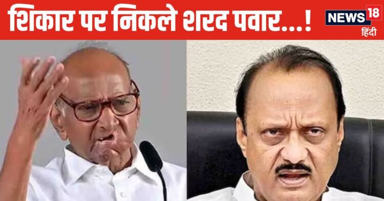 Sharad Pawar is out on the hunt, big dent in NCP-BJP, one more MLA changed sides