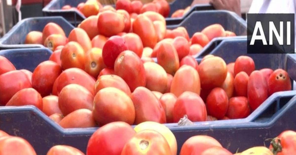 The price of tomatoes has exhausted the common man, you will be shocked to know the rate