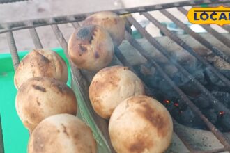 There is a health connection in the combination of litti and chokha, know its benefits here