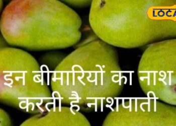 This fruit available in rainy season is a cure for many diseases and eliminates obesity