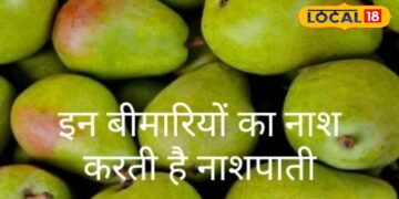 This fruit available in rainy season is a cure for many diseases and eliminates obesity