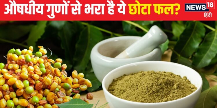 This medicinal plant is a gift of nature, its fruits are more powerful than its leaves, regular use will have 5 major health benefits