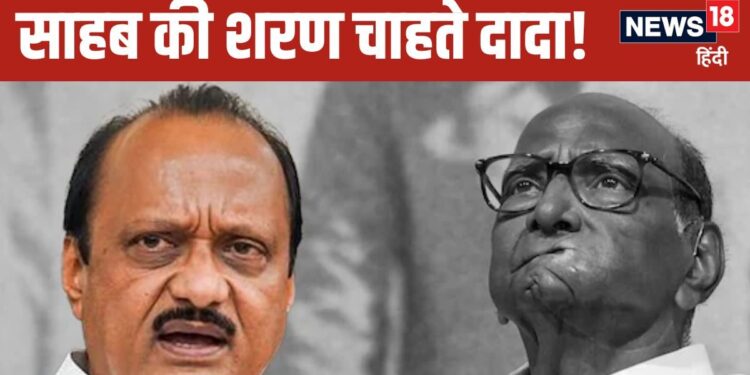 Ticket in the name AA, 10 meetings with Amit Shah... nephew Ajit Pawar again under the protection of Sharad Pawar?
