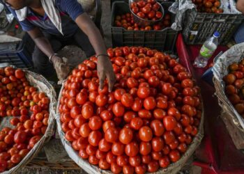 Tomatoes will be available cheaply at these places in Delhi-NCR, you can buy them at Rs 60 per kg from Monday - India TV Hindi