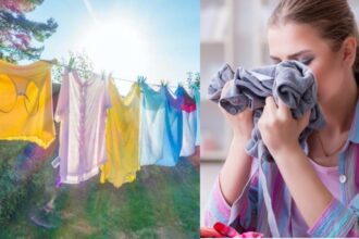 Try these great tips to dry clothes quickly and save them from bad smell during rainy season - India TV Hindi