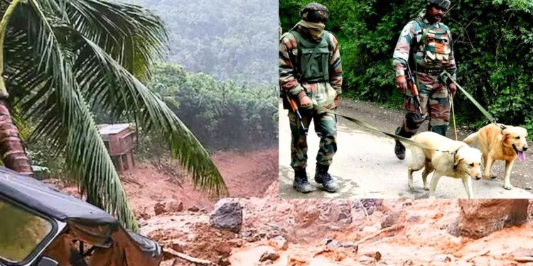 Wayanad landslide: Hundreds of people buried in mud for hours, now dogs being sent from Meerut will search for them, know the specialty