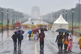 Weather Update: Yellow alert for rain in Delhi, know the condition of UP and other states - India TV Hindi