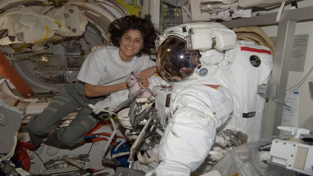 When will Sunita Williams return from space? NASA will release the date soon - India TV Hindi