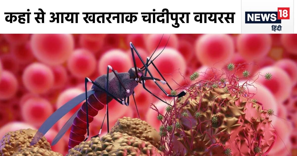 Where did Chandipura virus come from that is causing death to children? Virologist told the horoscope, these are the symptoms and treatment