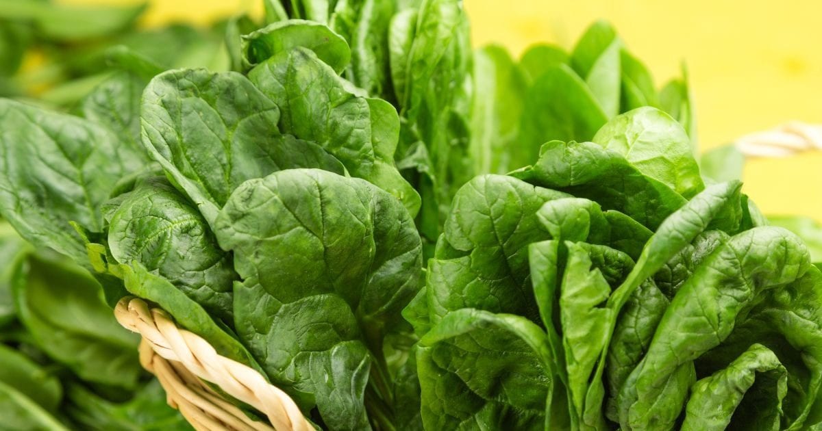 You will get so many benefits by eating spinach, definitely include it in your diet