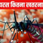 Zika virus is spreading rapidly again! It can cause havoc in rainy season, understand the treatment from the doctor