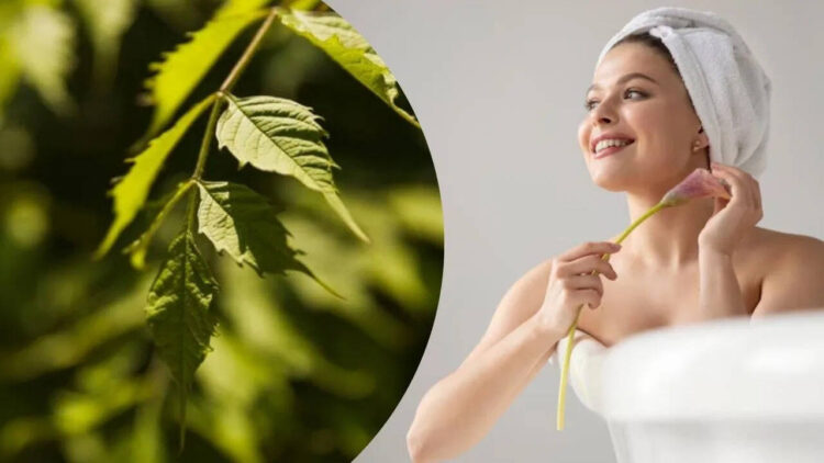 Adding Neem leaves in lukewarm water before bathing in winter will give amazing benefits to the skin.