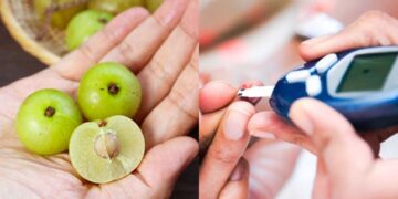 Amla is effective in controlling diabetes, these problems also go away, know about diet - India TV Hindi