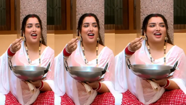 Amrapali Dubey does not want to go to her in-laws' house, spoke to Nirahua, video of the actress going viral