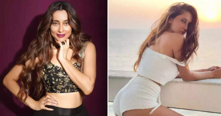 Anusha Dandekar Birthday: काम से ज्यादा पर्सनल लाइफ को लेकर चर्चा में रही अनुषा, इस एक्टर संग खूब हुए थे अफेयर के चर्चे 