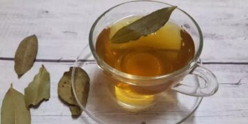 Bay leaf water is beneficial in fatty liver, it also cures these health related problems - India TV Hindi