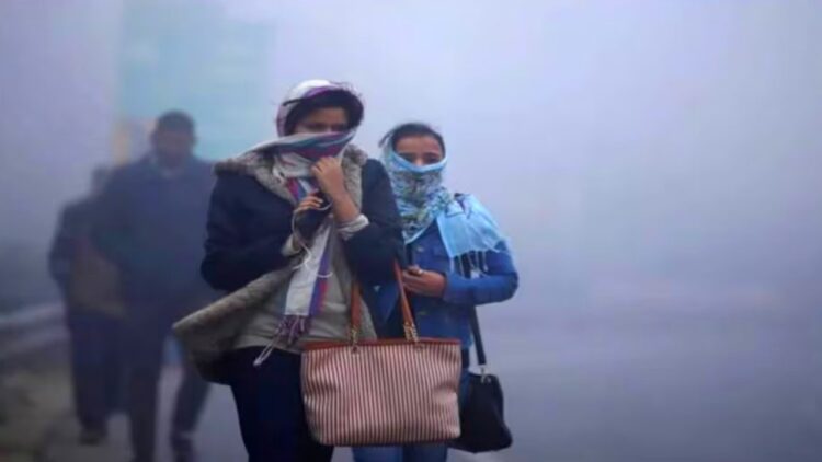Cold increased in Delhi, 11 people died due to cold wave in UP. Weather Forecast| Weather Update 7 January| Weather Forecast Today| UP Weather Update Delhi Weather| IMD| Today Weather| Today Weather Forecast| Weather Update| Newstrack | Weather Forecast: There will be severe cold in Delhi-NCR, cold wave took the lives of 11 people in UP, know how the weather of the country will be. News Track in Hindi