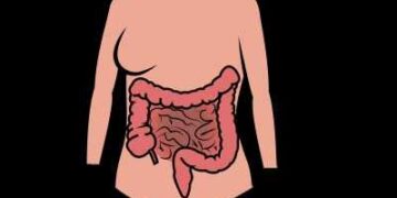 Combination of Albendazole and Ivermectin may be effective against intestinal infections: Lancet