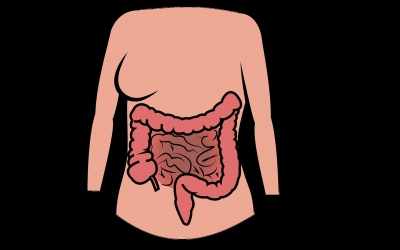 Combination of Albendazole and Ivermectin may be effective against intestinal infections: Lancet