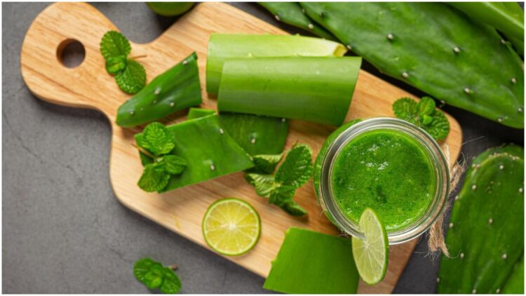 Consume aloe vera in this way in winter, you will get tremendous health benefits - India TV Hindi