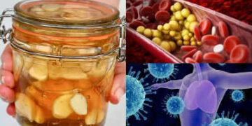 Consume garlic soaked in honey, you will get rid of bad cholesterol, you will get countless benefits.
