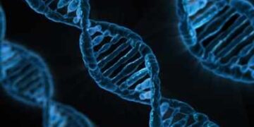 DNA repair will reveal how cancer cells die after radiotherapy