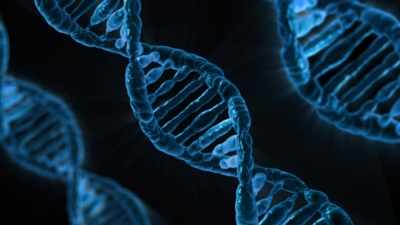 DNA repair will reveal how cancer cells die after radiotherapy