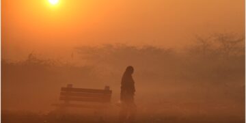 Dense fog and rain likely in Delhi, cold is going to increase further - India TV Hindi