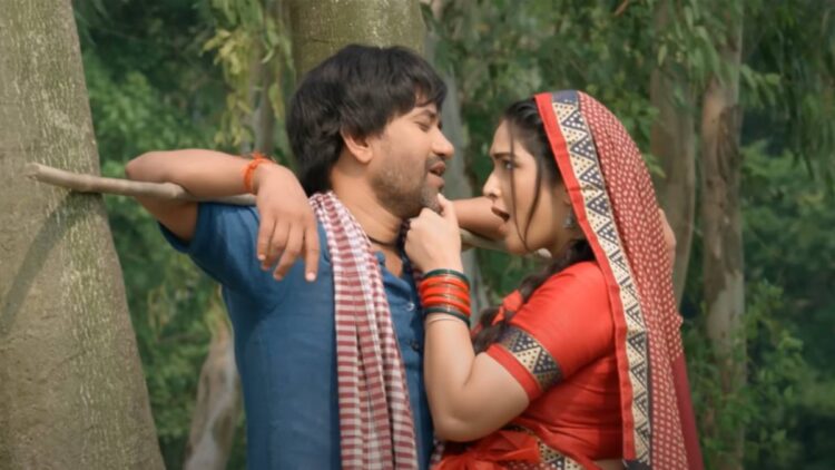 Devastation wreaked havoc! Amrapali Dubey stole Nirahua's heart in 'Maroon Color Sariya' - India TV Hindi