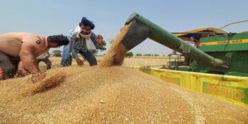 Duration of lump sum package extended to subsidize DAP and two crop insurance schemes - India TV Hindi