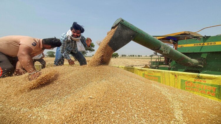 Duration of lump sum package extended to subsidize DAP and two crop insurance schemes - India TV Hindi