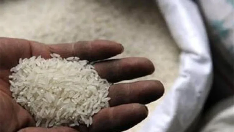 Grain facility available at lower price than Ration Card, apply after online eligibility check.