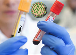 Human metapneumovirus cases are declining in northern provinces: China