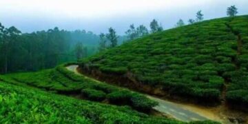 If you want to find peace from the hectic life then visit this special place in Madhya Pradesh, it will feel like heaven.